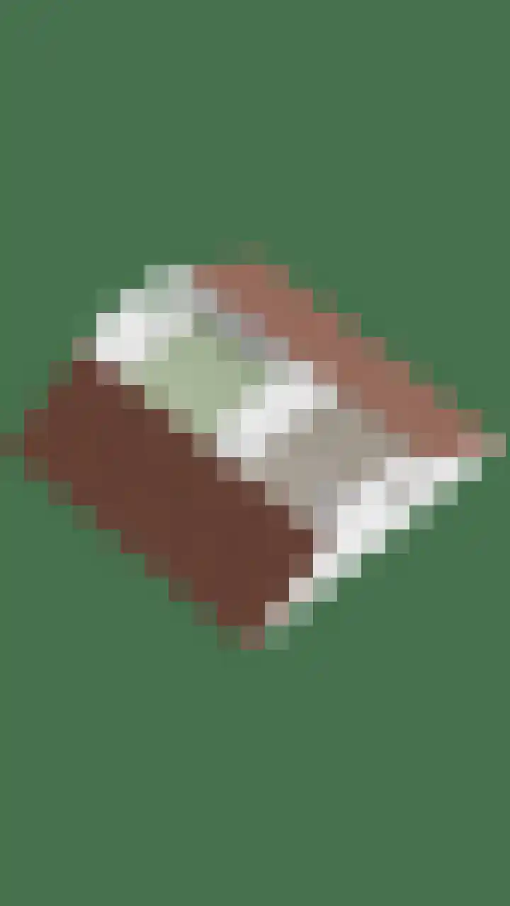 Kruidenhof 17 Schaijk thumbnail 55