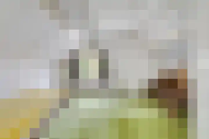 Kruidenhof 19 Schaijk thumbnail 23