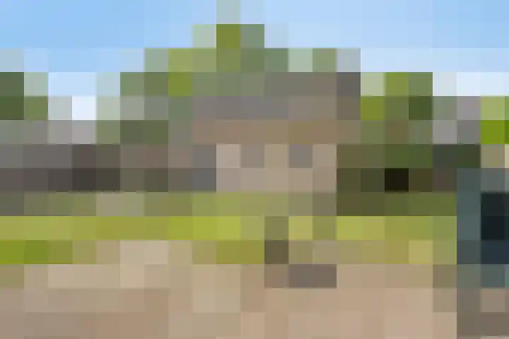 Kruidenhof 19 Schaijk thumbnail 27