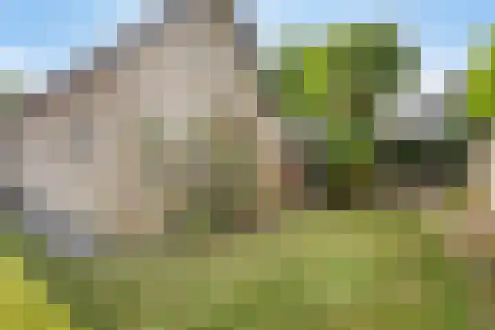 Kruidenhof 19 Schaijk thumbnail 29