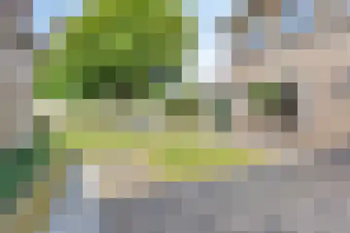 Kruidenhof 19 Schaijk thumbnail 30