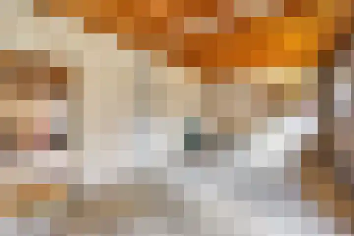 Kruidenhof 19 Schaijk thumbnail 32