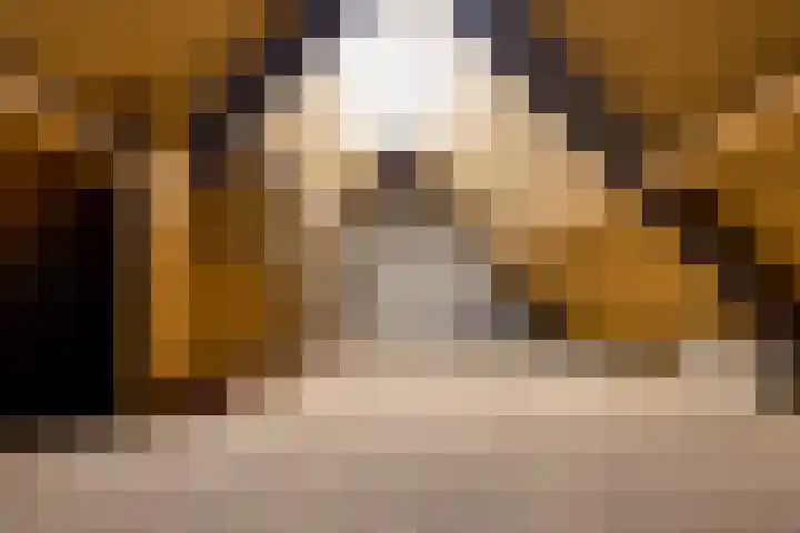 Kruidenhof 19 Schaijk thumbnail 34