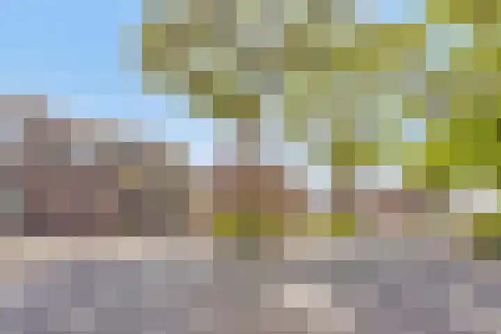 Kruidenhof 19 Schaijk thumbnail 42