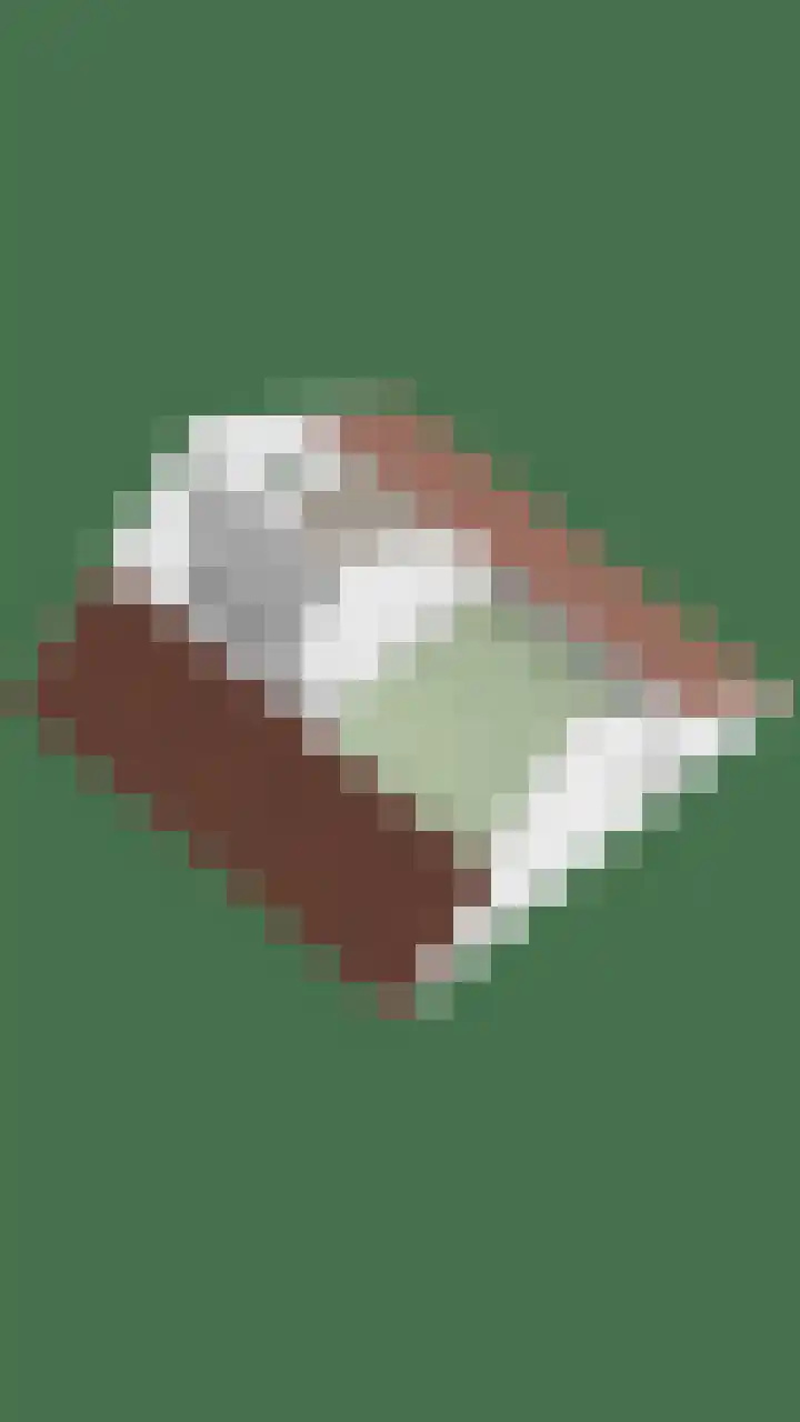 Kruidenhof 19 Schaijk thumbnail 50