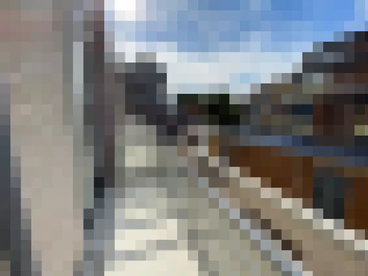 Kruidenhof 25 Leiden thumbnail 6