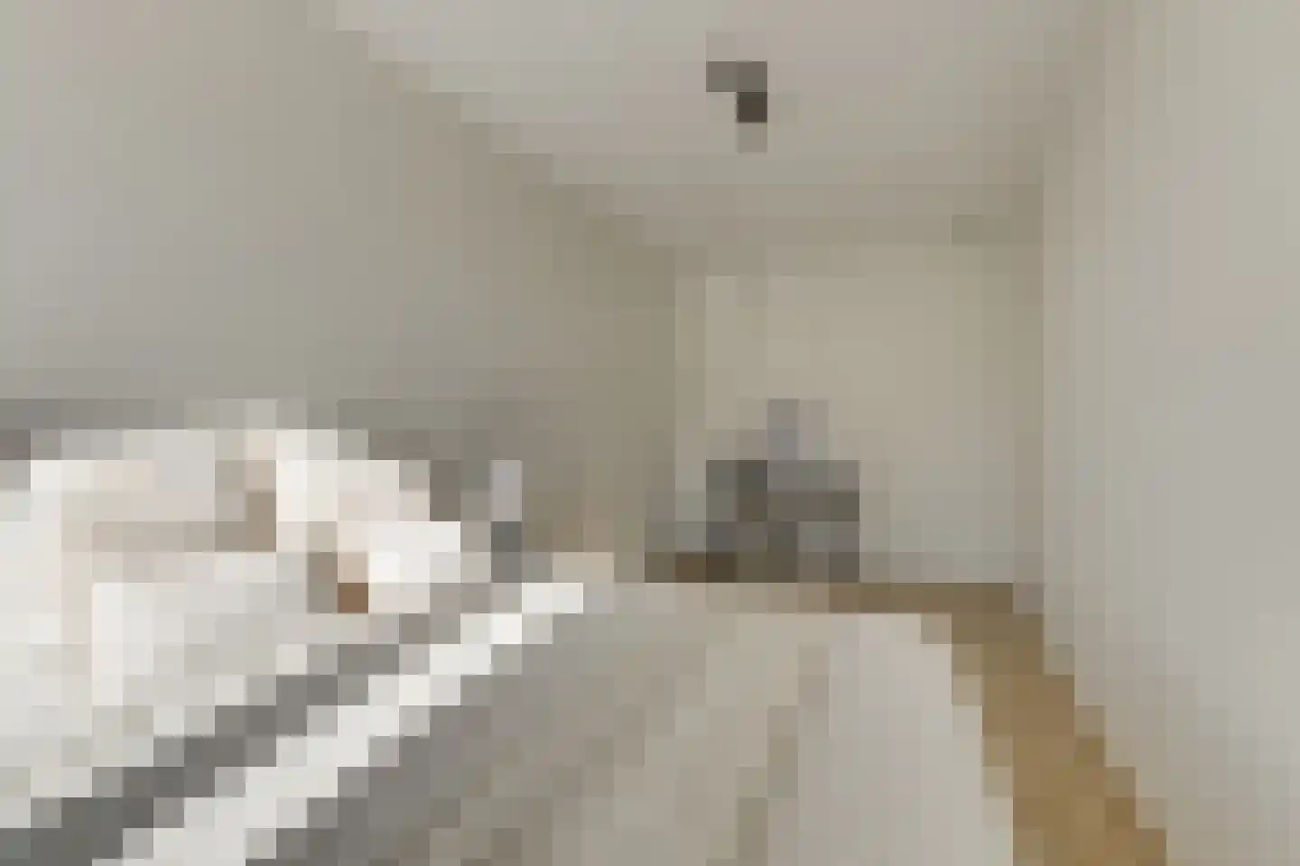 Kruidenhof 29 Leiden thumbnail 18