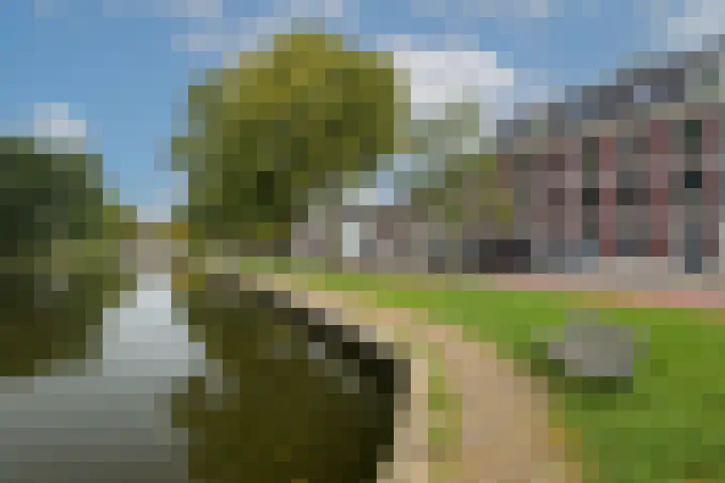 Kruidenhof 33 Leiden thumbnail 29