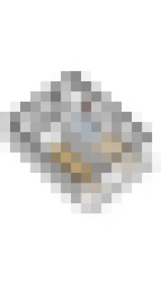 Kruidenhof 33 Leiden thumbnail 34
