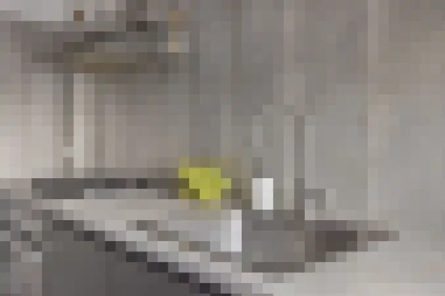Kruidenhof 42 Eindhoven thumbnail 27