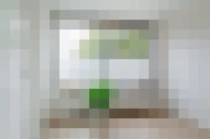 Kruidenhof 45 Diemen thumbnail 20