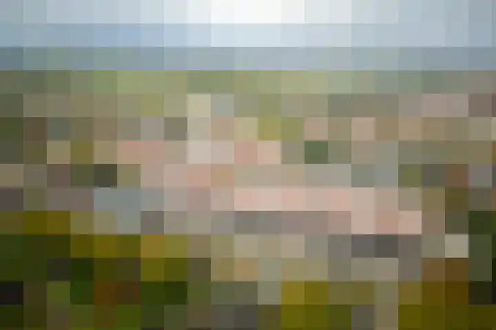 Kruidenhof 45 Diemen thumbnail 31