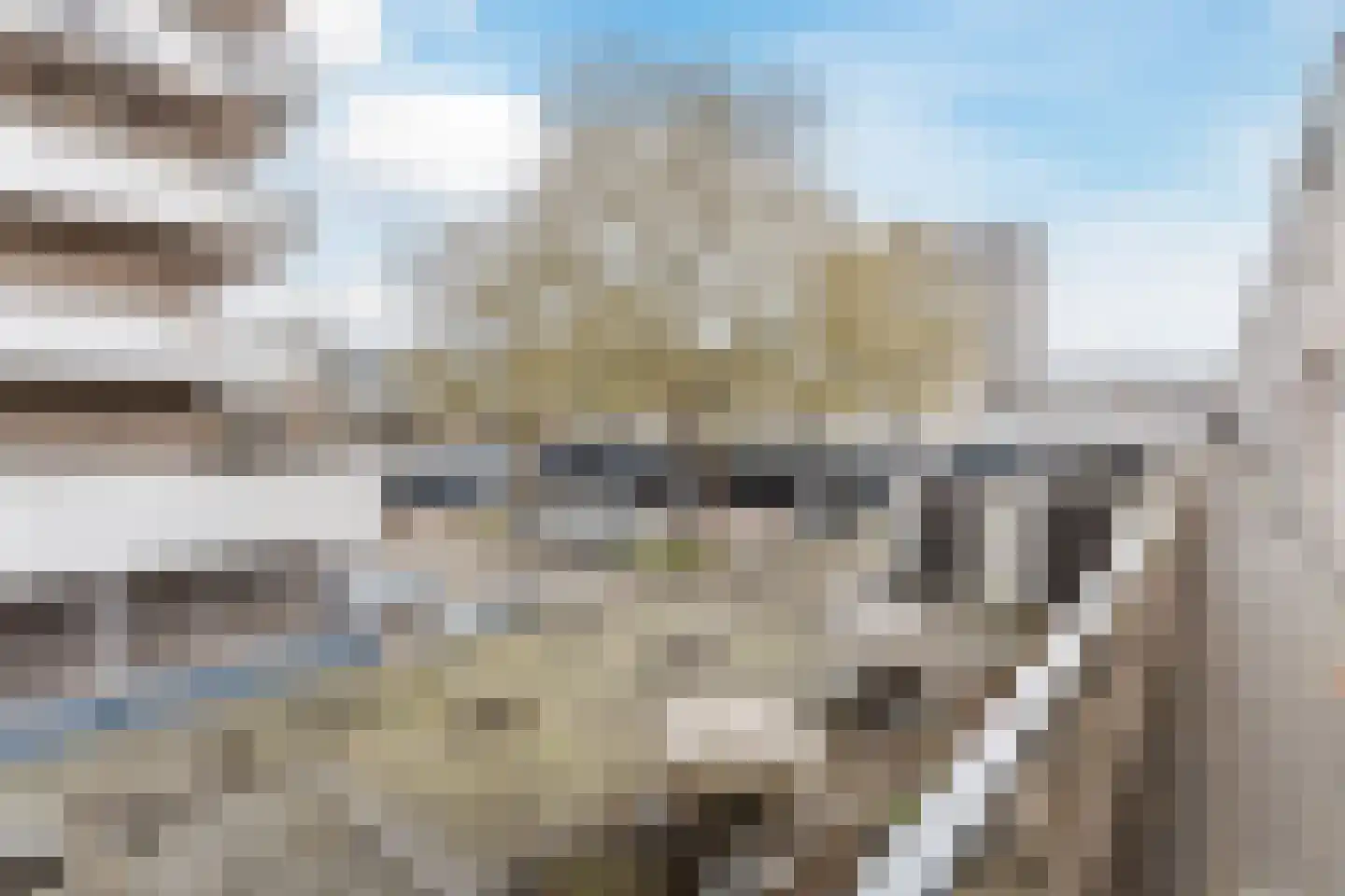 Kruidenhof 8 Eindhoven thumbnail 10