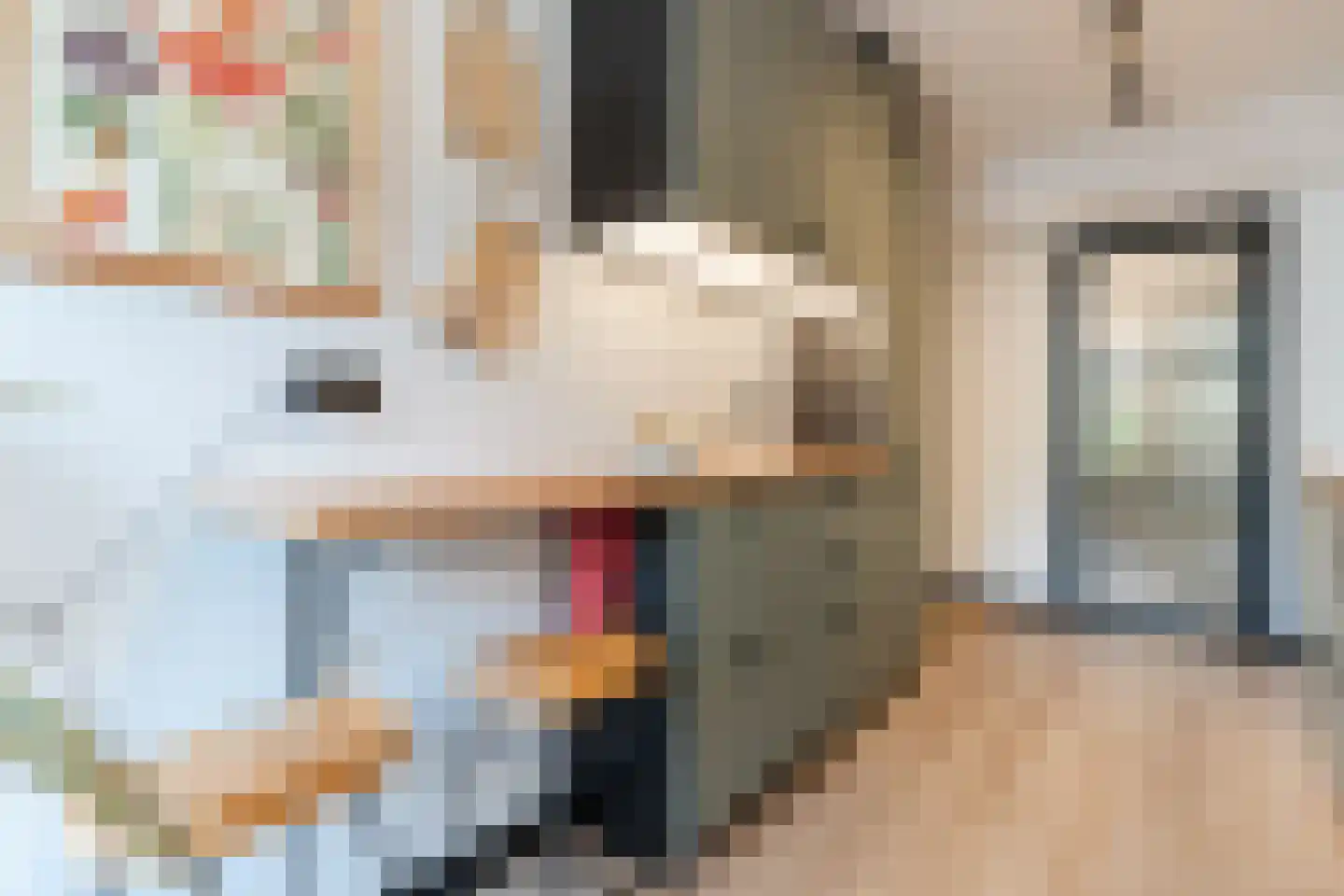 Kruidenhof 8 Eindhoven thumbnail 29