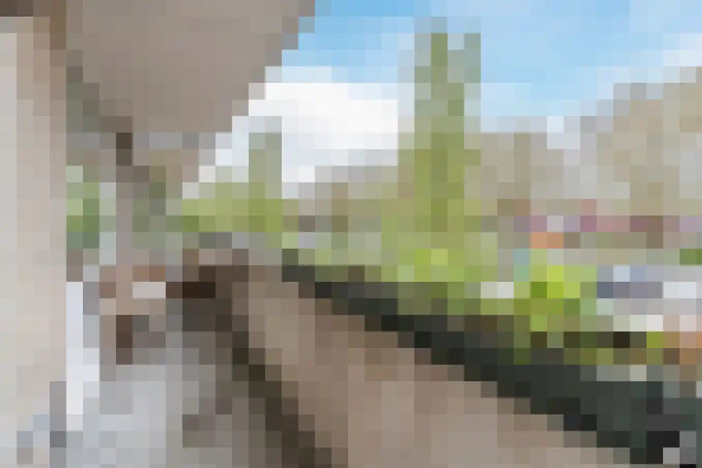 Kruidenhof 8 Eindhoven thumbnail 40