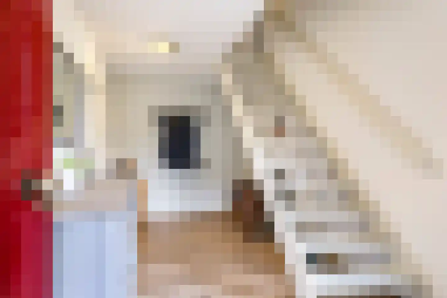 Kruidenier 17 Zetten thumbnail 11
