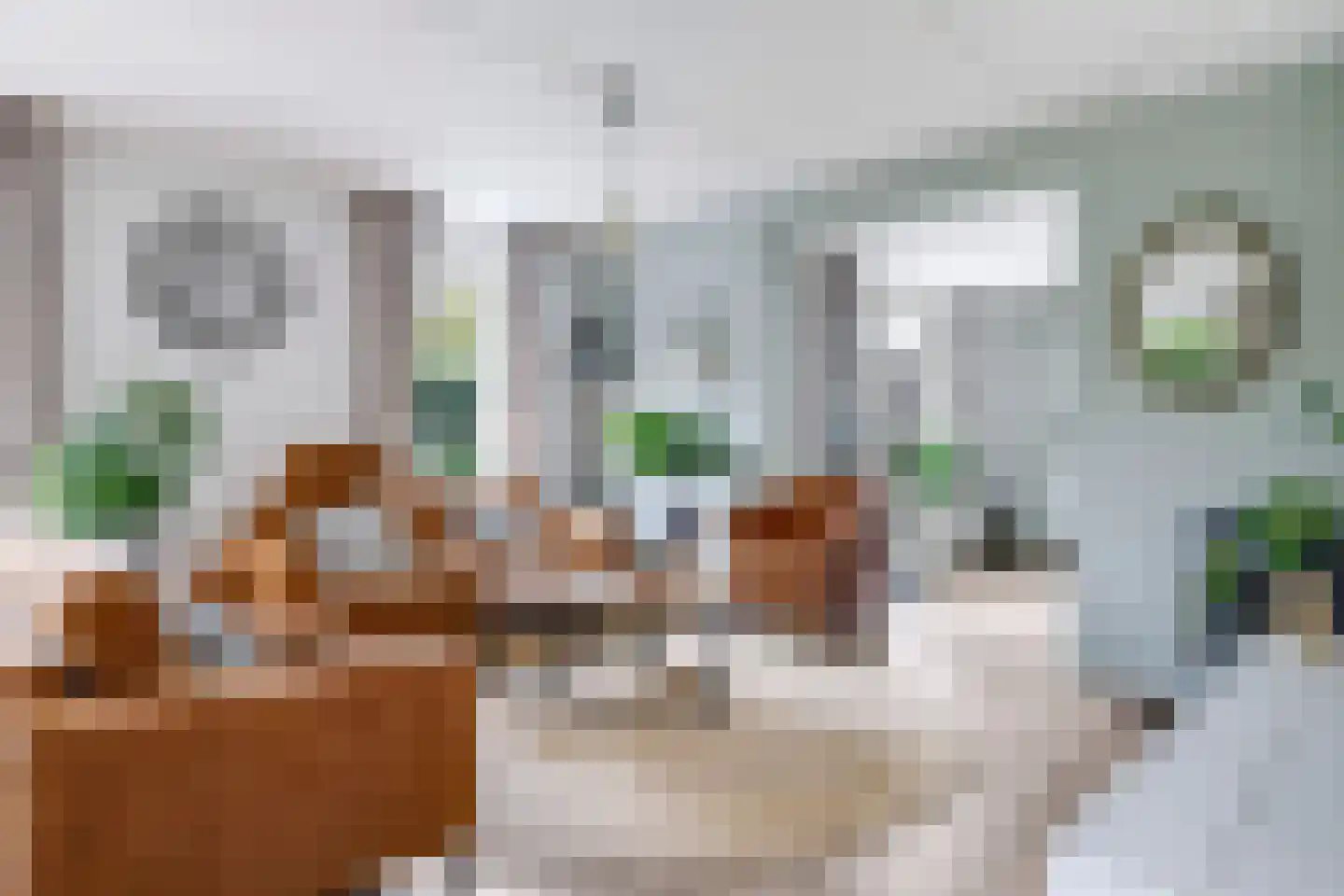 Kruidenier 17 Zetten thumbnail 16