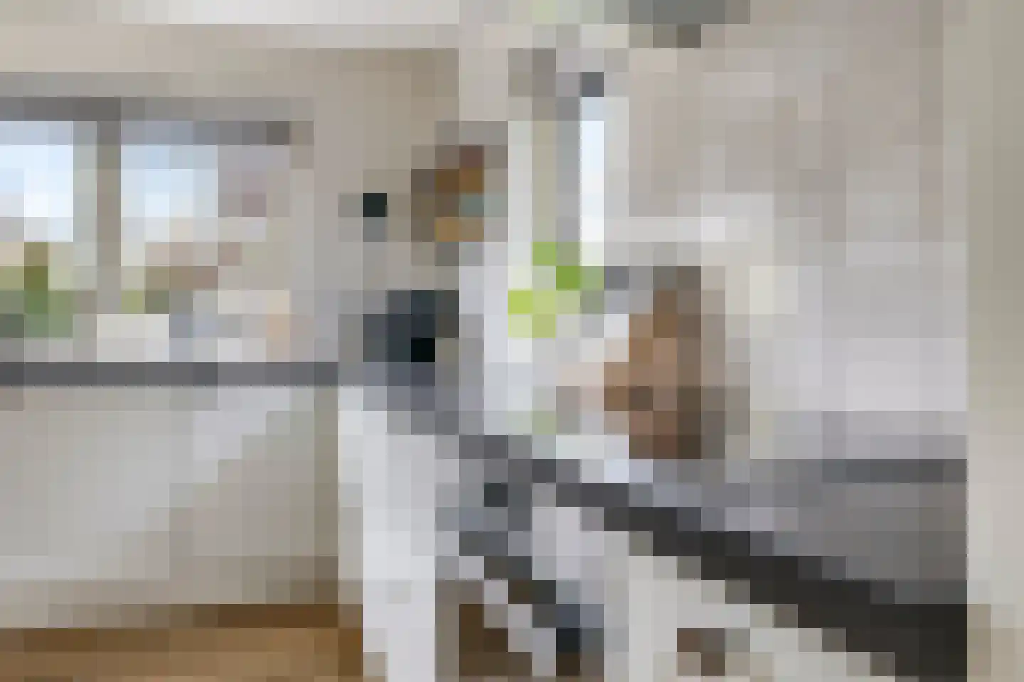 Kruidenier 17 Zetten thumbnail 25