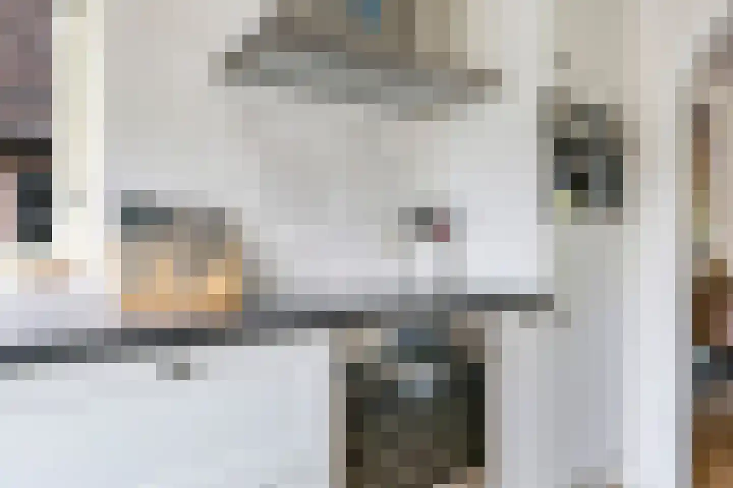 Kruidenier 17 Zetten thumbnail 27