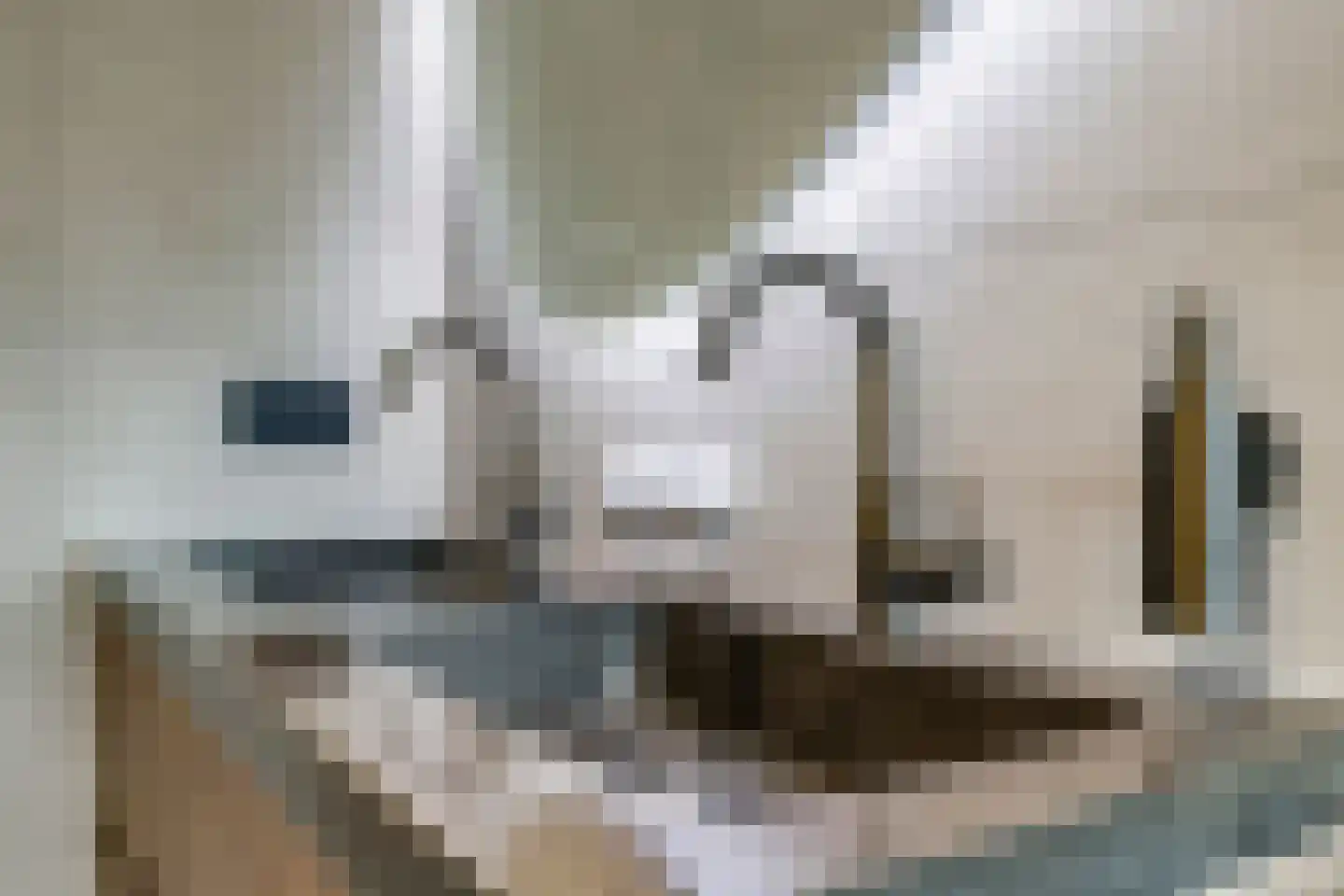 Kruidenier 17 Zetten thumbnail 40