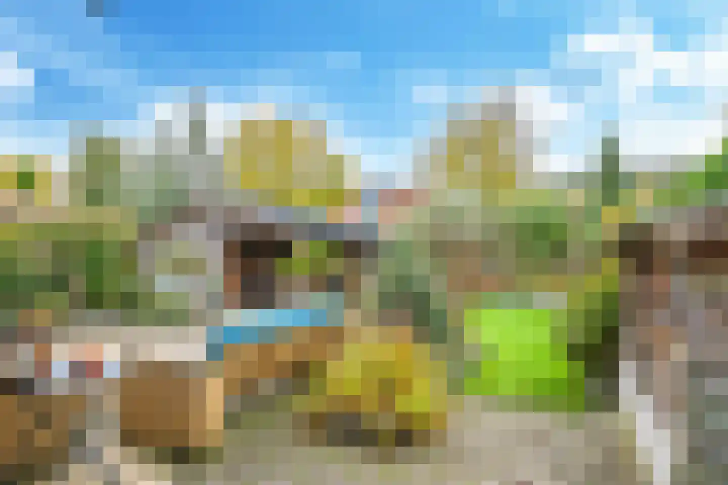 Kruidenier 17 Zetten thumbnail 62