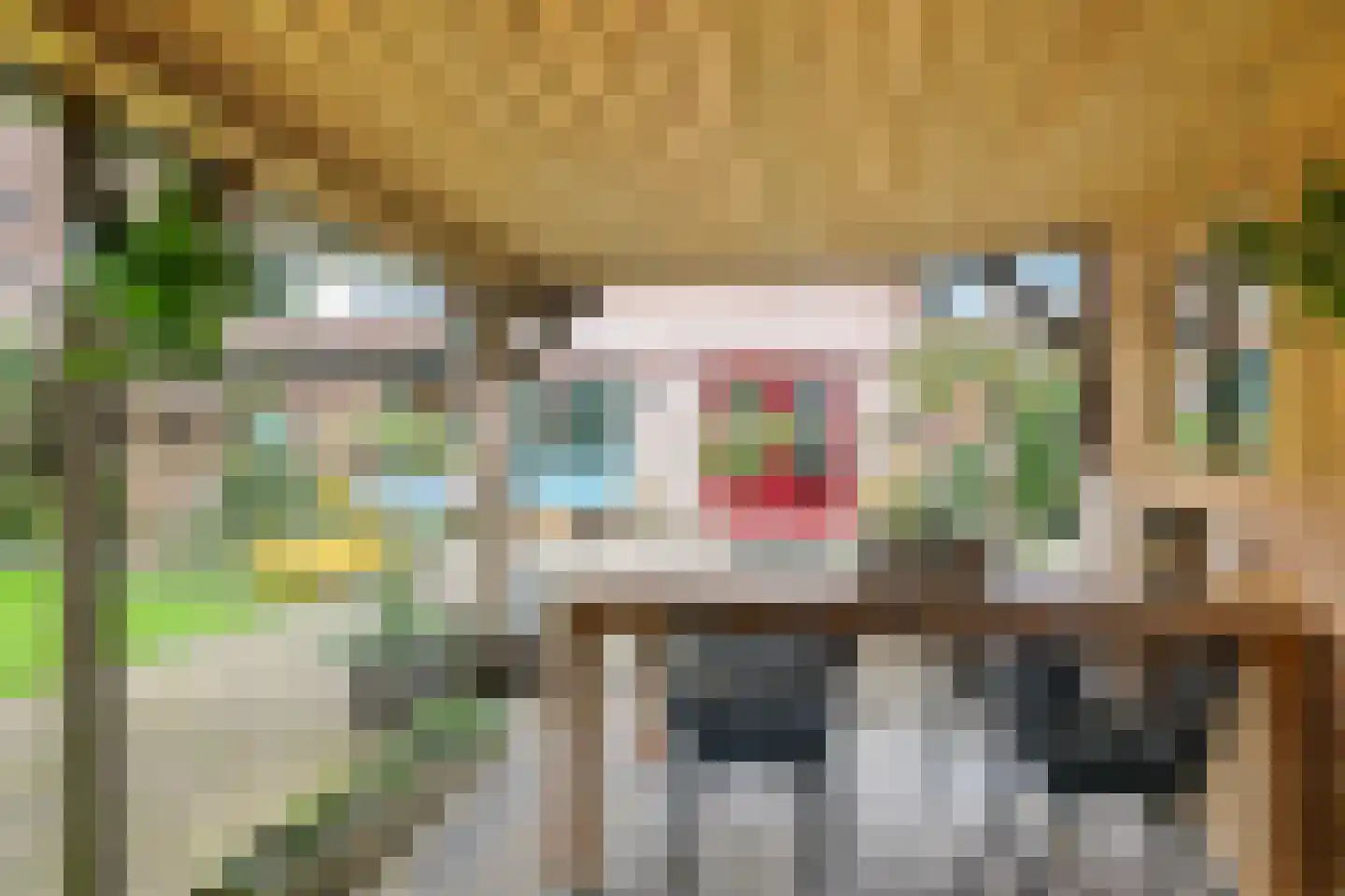 Kruidenier 17 Zetten thumbnail 71