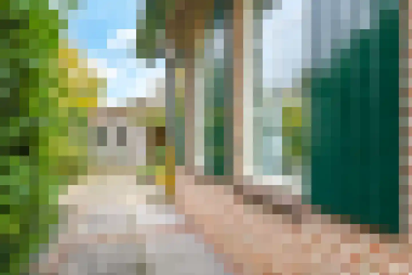Kruidenier 17 Zetten thumbnail 76