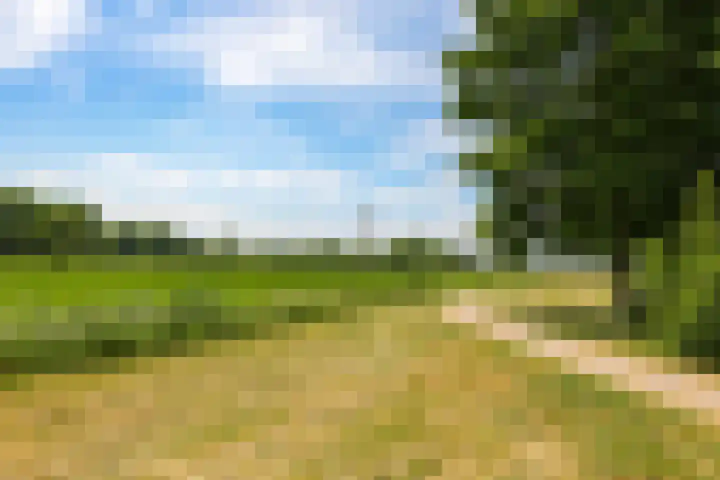 Kruidenier 17 Zetten thumbnail 87