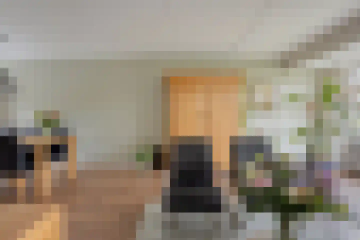 Kruidenier 5 Zetten thumbnail 10