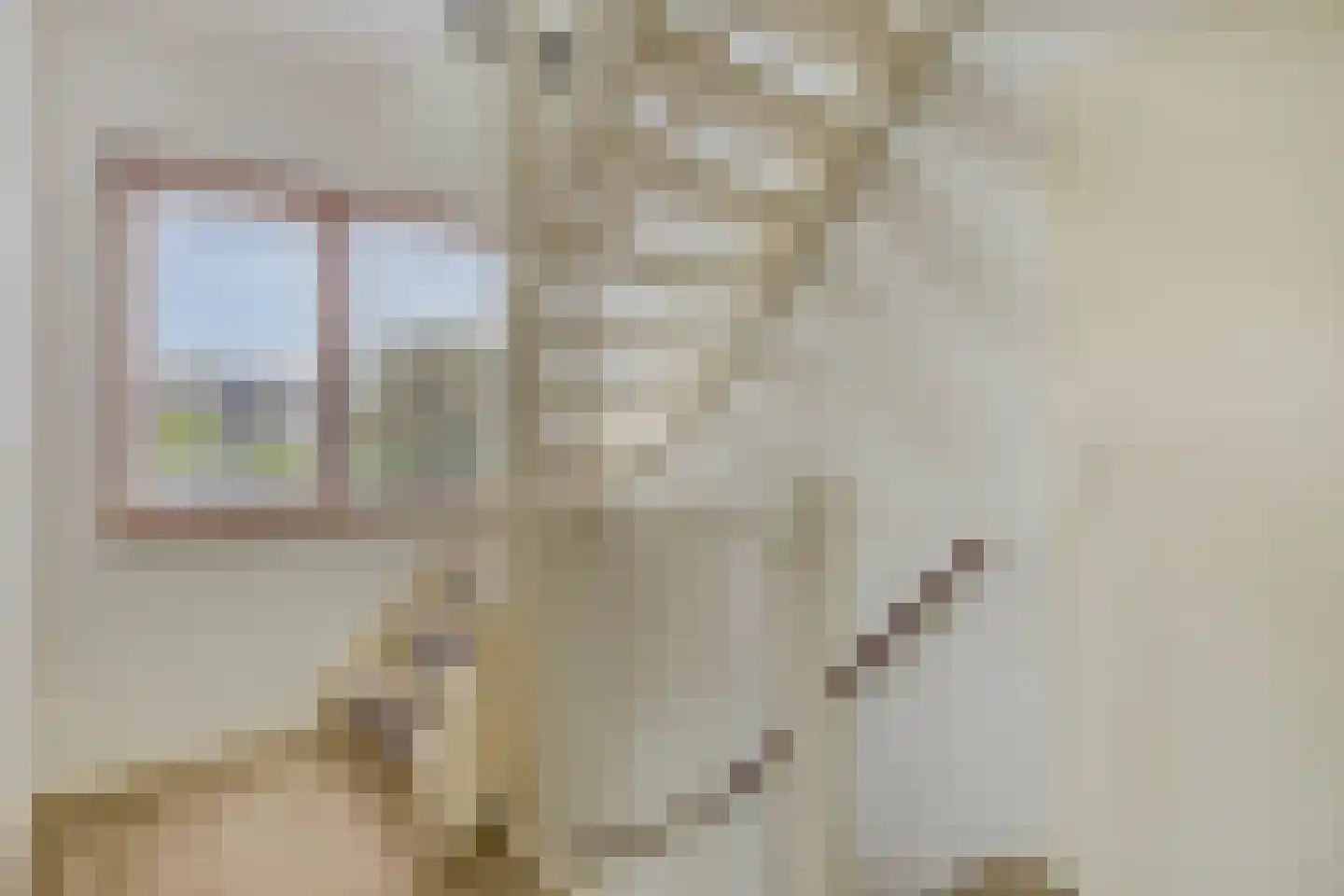 Kruidenier 5 Zetten thumbnail 15