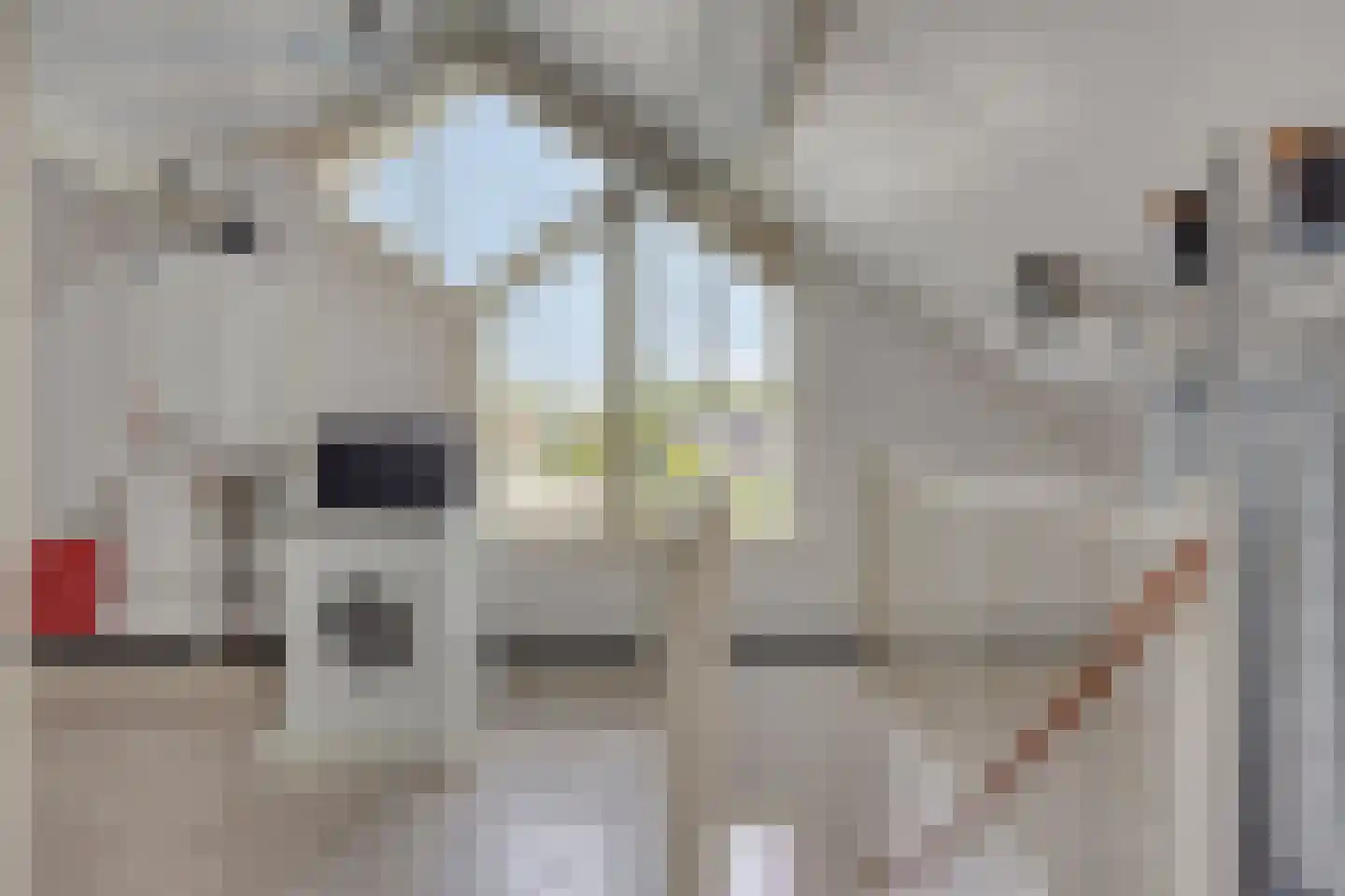 Kruidenier 5 Zetten thumbnail 25