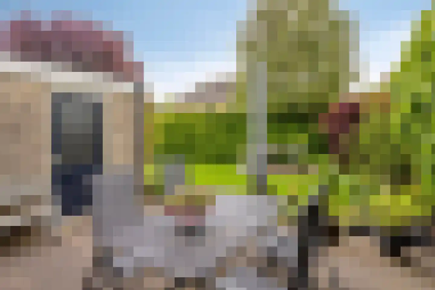 Kruidenier 5 Zetten thumbnail 31