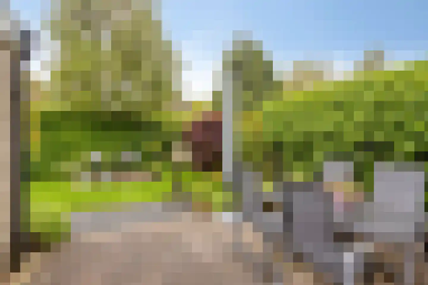 Kruidenier 5 Zetten thumbnail 32