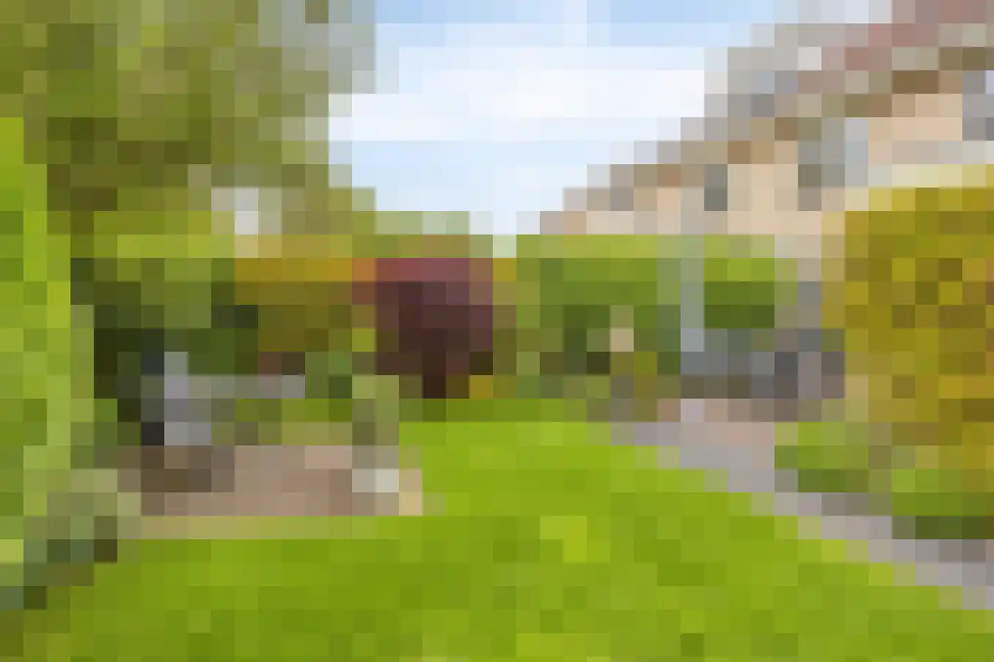 Kruidenier 5 Zetten thumbnail 33