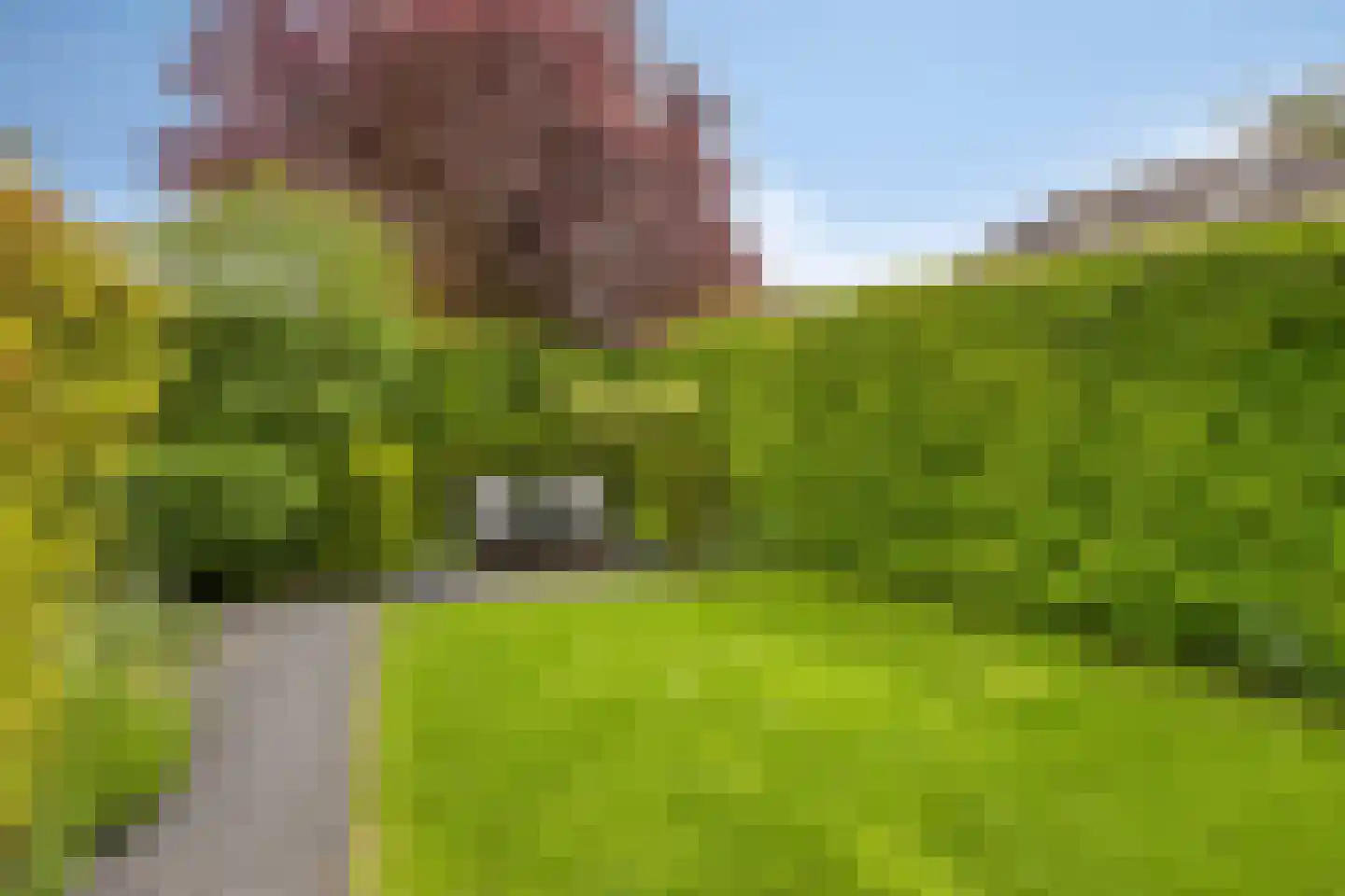 Kruidenier 5 Zetten thumbnail 34