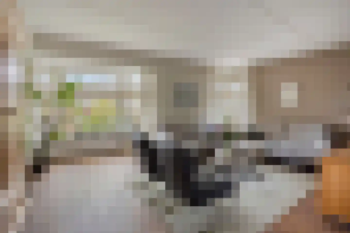 Kruidenier 5 Zetten thumbnail 8