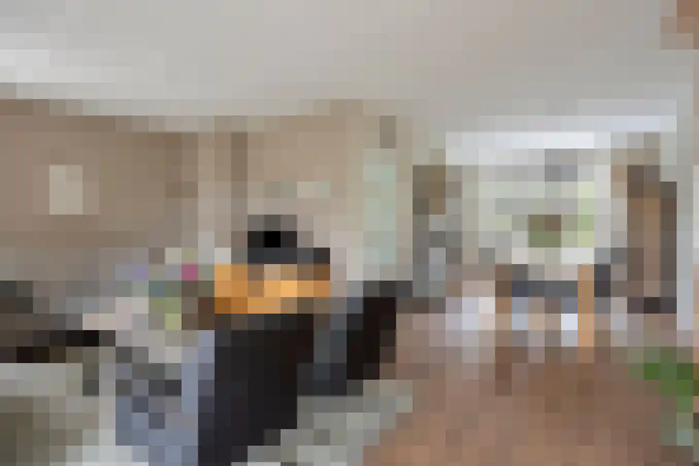 Kruidenier 5 Zetten thumbnail 9