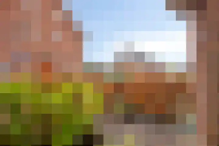 Kruidenierspeerstraat 11 Zuidoostbeemster thumbnail 10