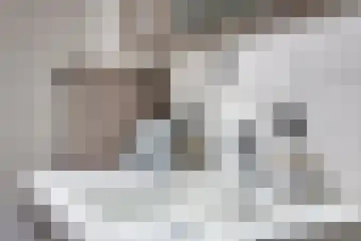 Kruidenierspeerstraat 11 Zuidoostbeemster thumbnail 29