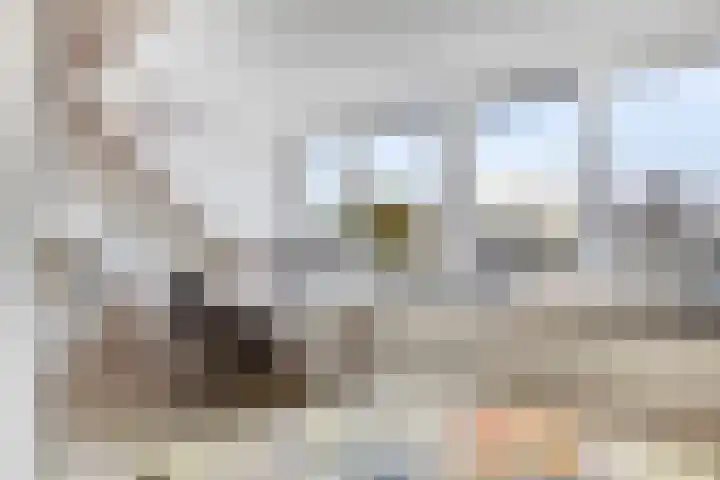 Kruidenierspeerstraat 11 Zuidoostbeemster thumbnail 34