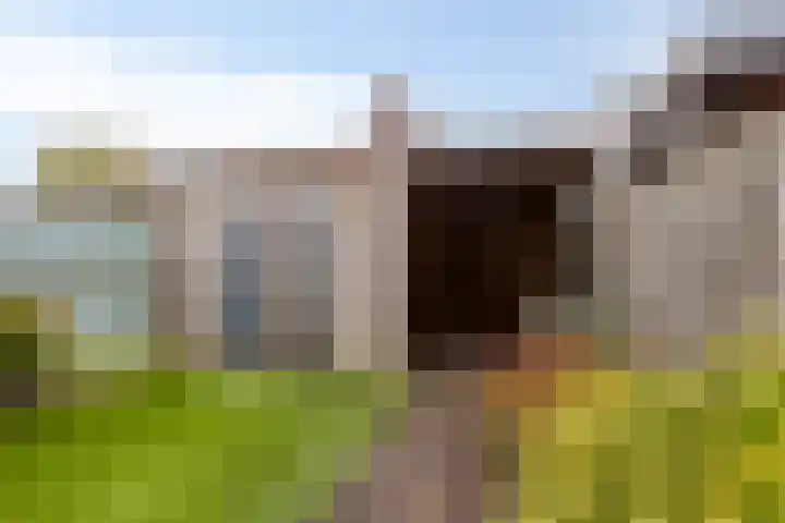 Kruidenierspeerstraat 11 Zuidoostbeemster thumbnail 41