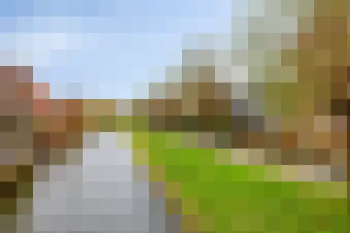 Kruidenierspeerstraat 11 Zuidoostbeemster thumbnail 48