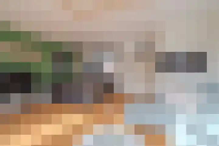 Kruidenlaan 102 Venray thumbnail 11