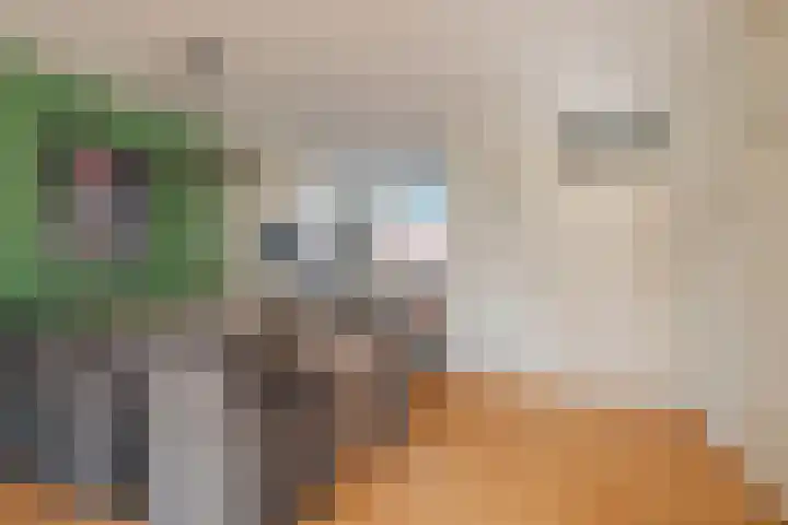 Kruidenlaan 102 Venray thumbnail 12