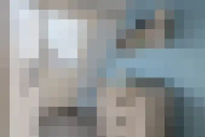 Kruidenlaan 102 Venray thumbnail 22