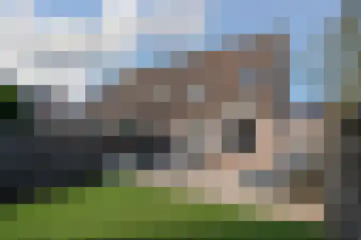 Kruidenlaan 102 Venray thumbnail 35