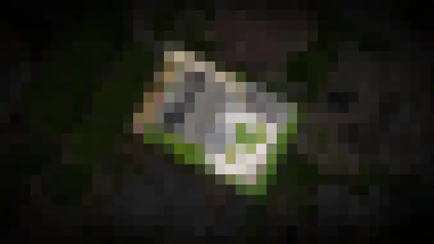 Kruidenlaan 11 Kerkdriel thumbnail 42