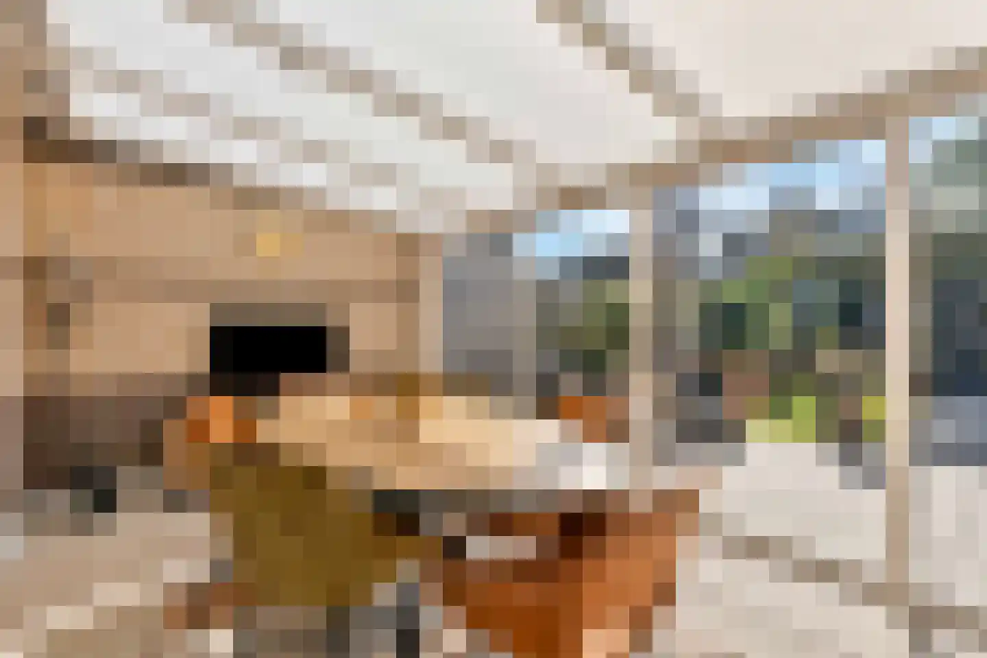 Kruidenlaan 124 Venray thumbnail 10