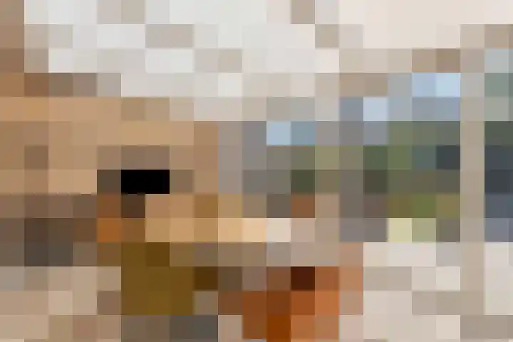 Kruidenlaan 124 Venray thumbnail 10