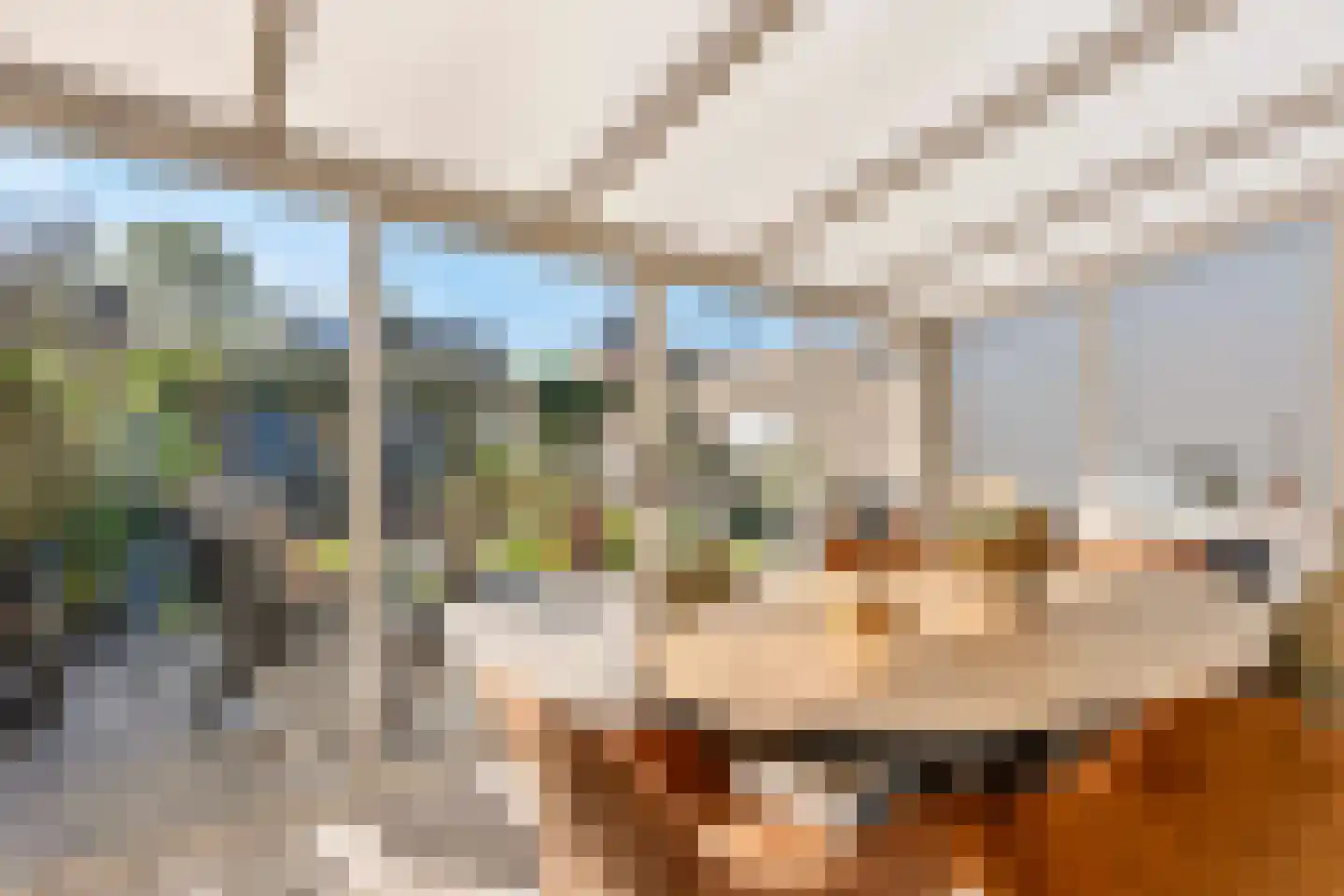 Kruidenlaan 124 Venray thumbnail 11